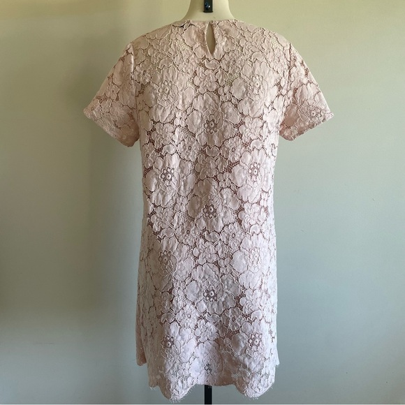BCBGMaxAzria Diane Lace Mini Dress Pastel Pink Oversized With Slip Size Medium - Picture 4 of 16